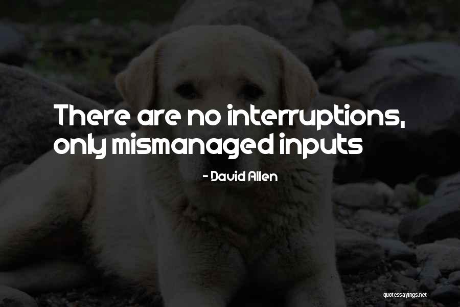 No Interruptions Quotes By David Allen