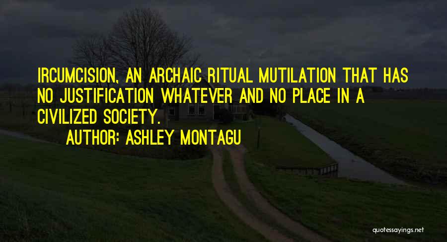 No Justification Quotes By Ashley Montagu