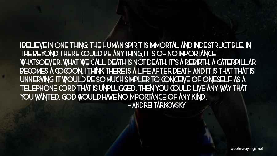 No Life After Death Quotes By Andrei Tarkovsky No Life After Death Quotes By Andrei Tarkovsky