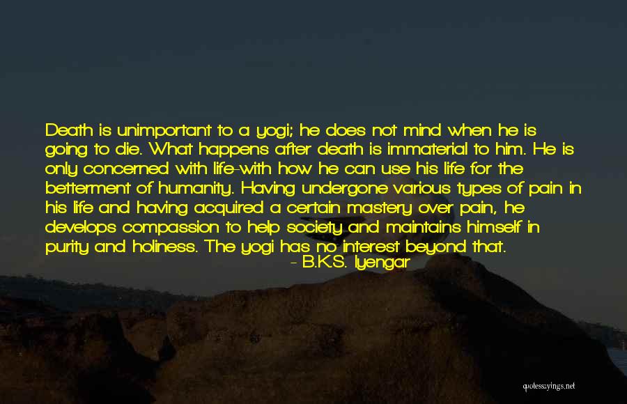 No Life After Death Quotes By B.K.S. Iyengar No Life After Death Quotes By B.K.S. Iyengar
