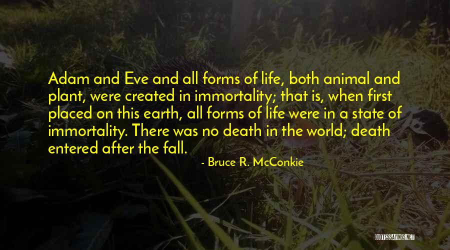 No Life After Death Quotes By Bruce R. McConkie