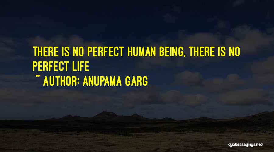 No Life Is Perfect Quotes By Anupama Garg