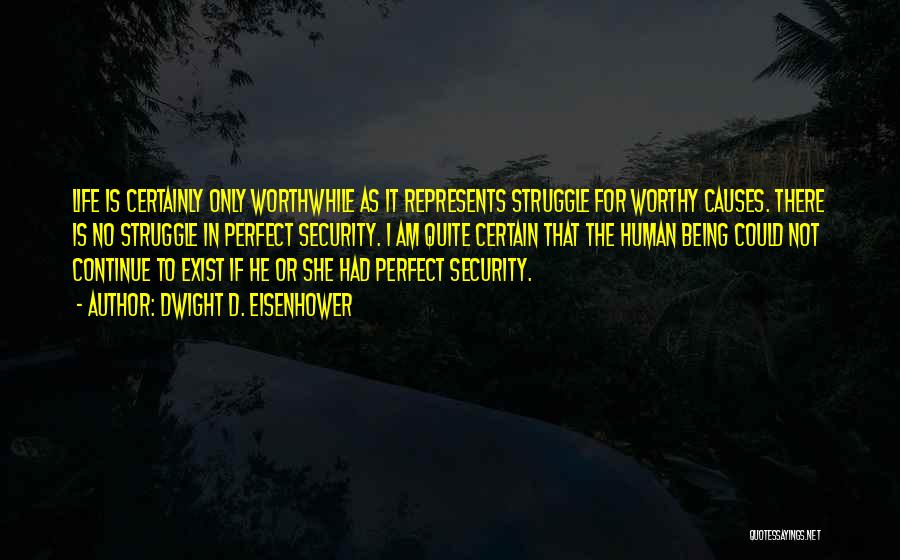 No Life Is Perfect Quotes By Dwight D. Eisenhower