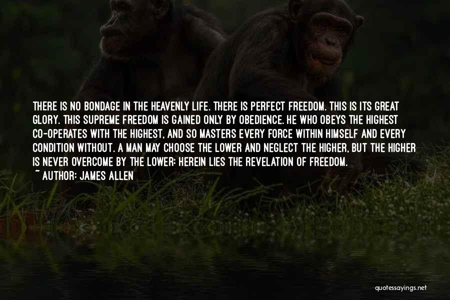 No Life Is Perfect Quotes By James Allen