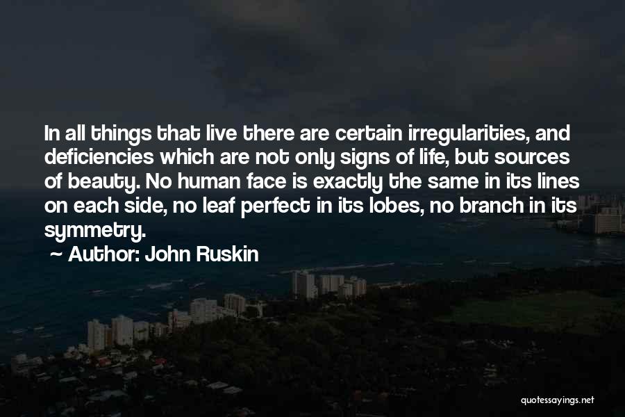 No Life Is Perfect Quotes By John Ruskin