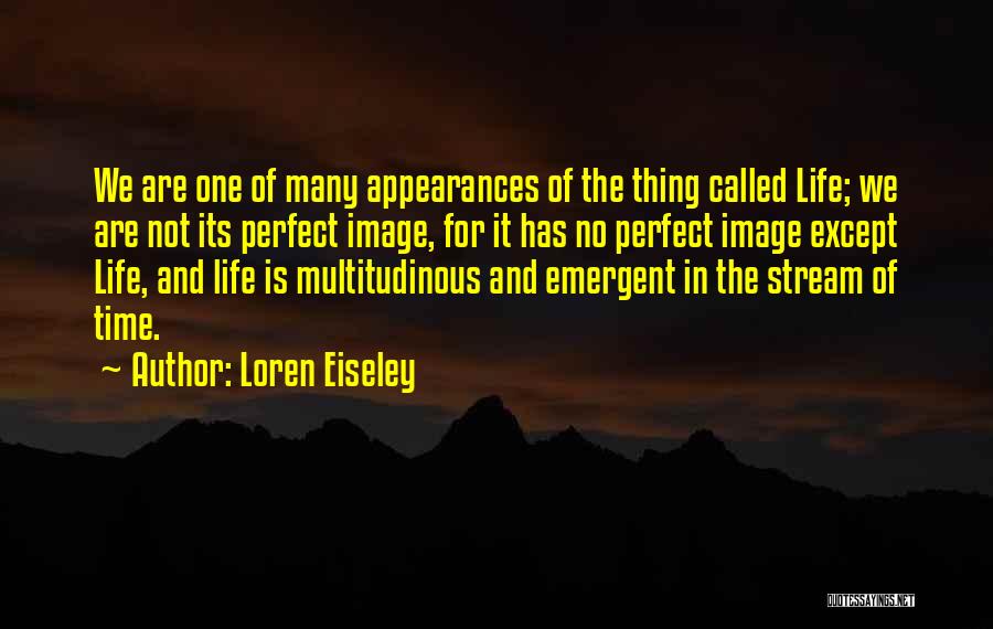 No Life Is Perfect Quotes By Loren Eiseley