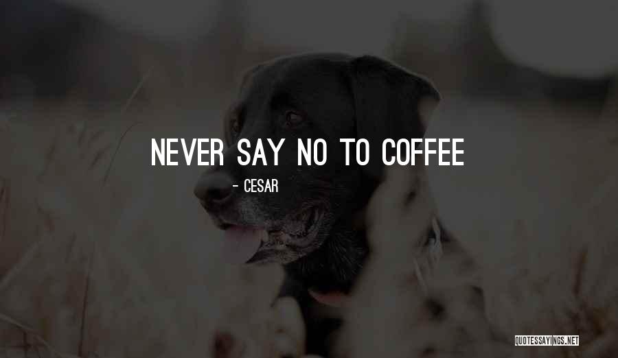 No Life Quote Quotes By Cesar No Life Quote Quotes By Cesar
