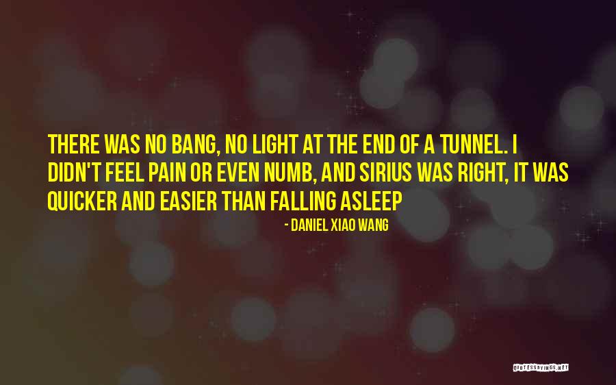 No Light At The End Of The Tunnel Quotes By Daniel Xiao Wang