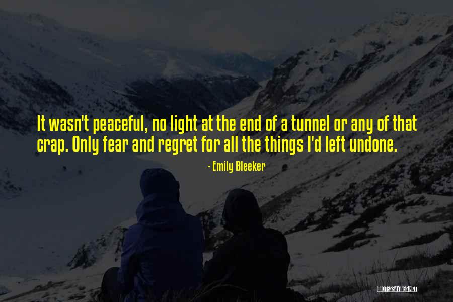 No Light At The End Of The Tunnel Quotes By Emily Bleeker