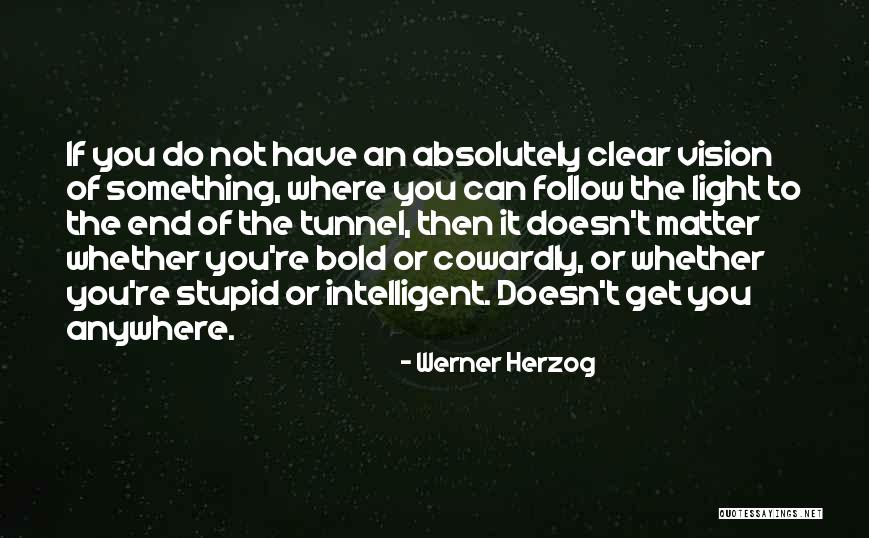 No Light At The End Of The Tunnel Quotes By Werner Herzog