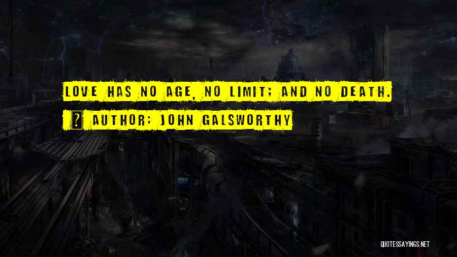 No Limit Love Quotes By John Galsworthy