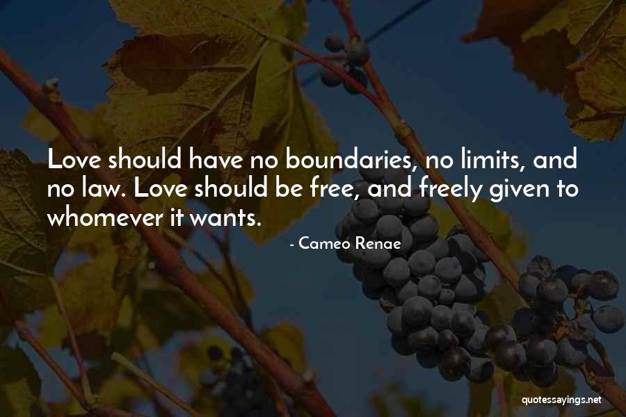 No Limits No Boundaries Quotes By Cameo Renae