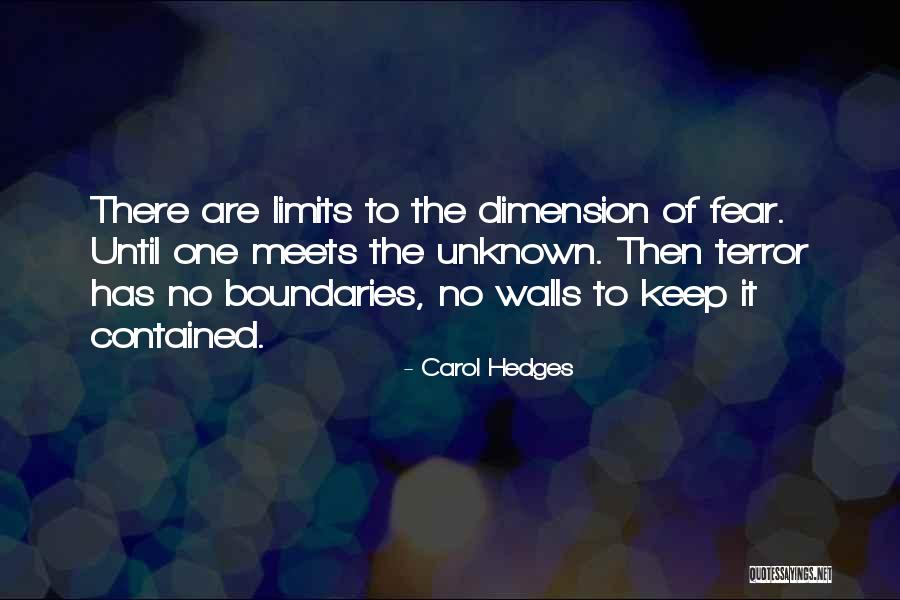 No Limits No Boundaries Quotes By Carol Hedges