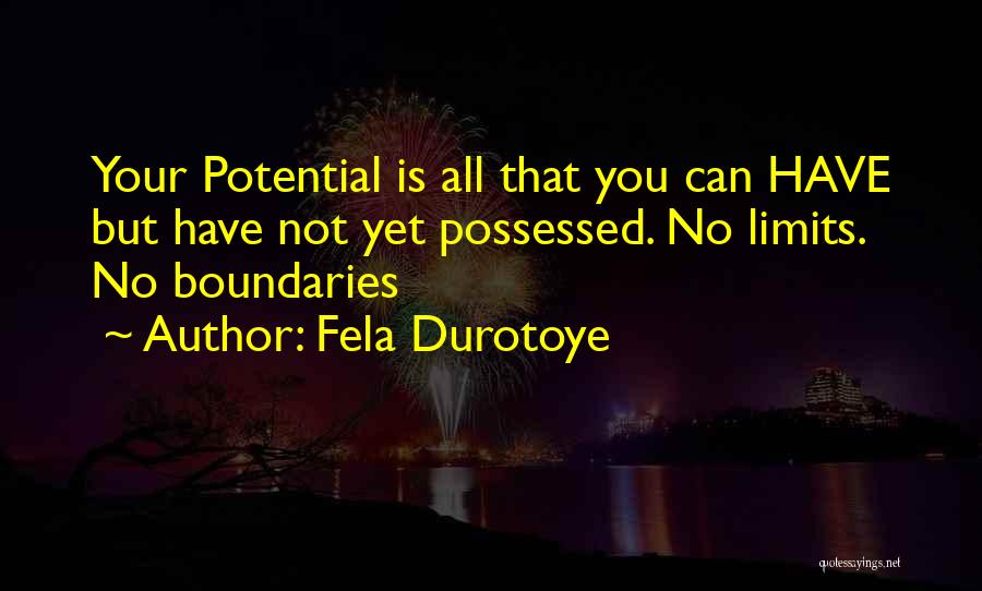 No Limits No Boundaries Quotes By Fela Durotoye