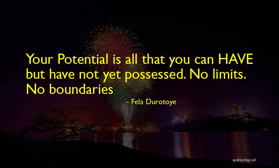 No Limits No Boundaries Quotes By Fela Durotoye