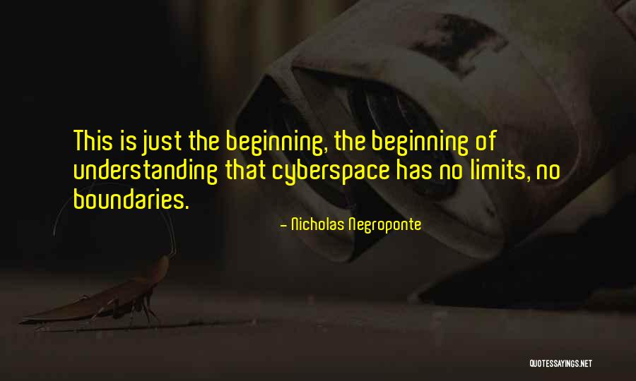 No Limits No Boundaries Quotes By Nicholas Negroponte