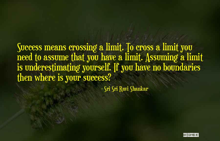 No Limits No Boundaries Quotes By Sri Sri Ravi Shankar