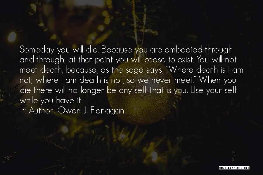 No Longer Exist Quotes By Owen J. Flanagan