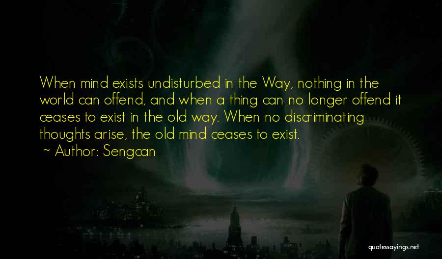 No Longer Exist Quotes By Sengcan