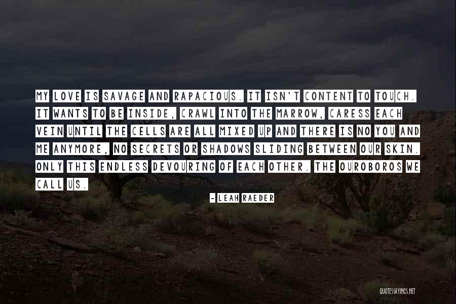 No Love Anymore Quotes By Leah Raeder No Love Anymore Quotes By Leah Raeder