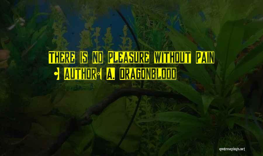 No Love No Pain Quotes By A. Dragonblood