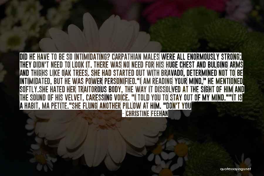 No Ma Am Quotes By Christine Feehan No Ma Am Quotes By Christine Feehan