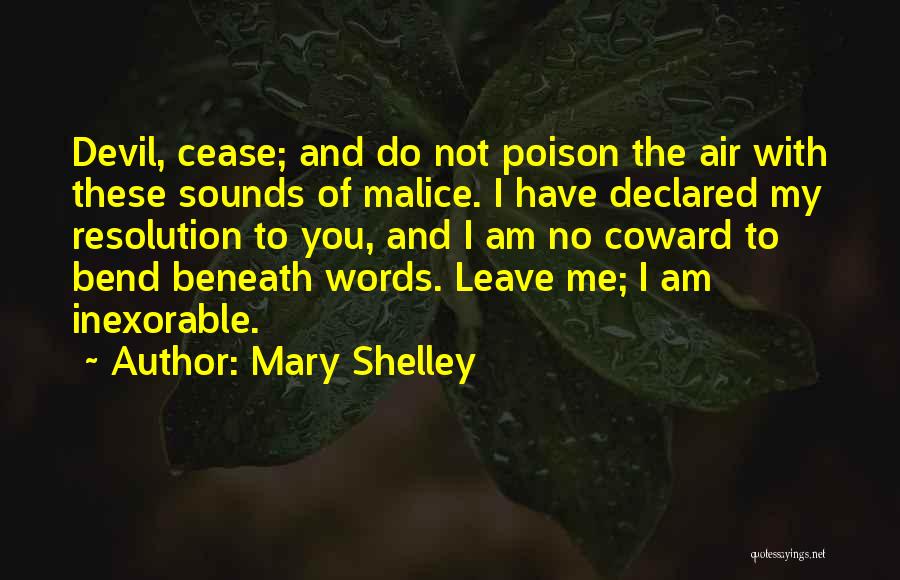 No Malice Quotes By Mary Shelley