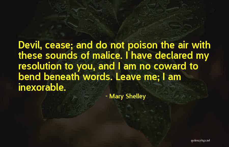 No Malice Quotes By Mary Shelley