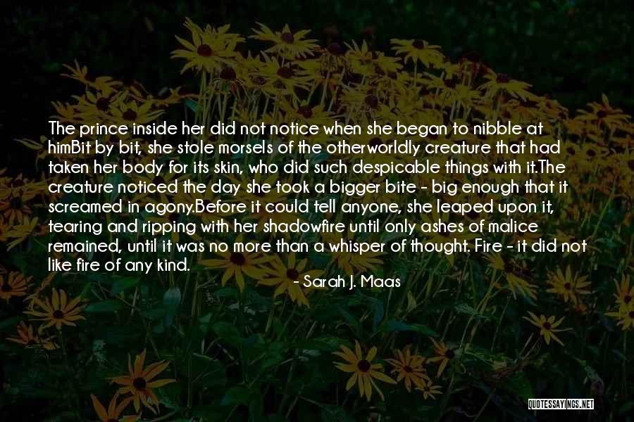 No Malice Quotes By Sarah J. Maas No Malice Quotes By Sarah J. Maas