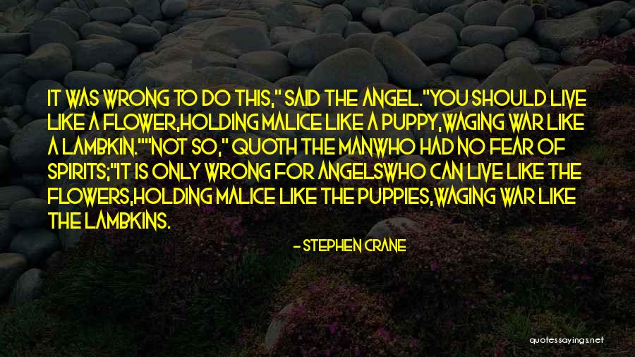 No Malice Quotes By Stephen Crane No Malice Quotes By Stephen Crane