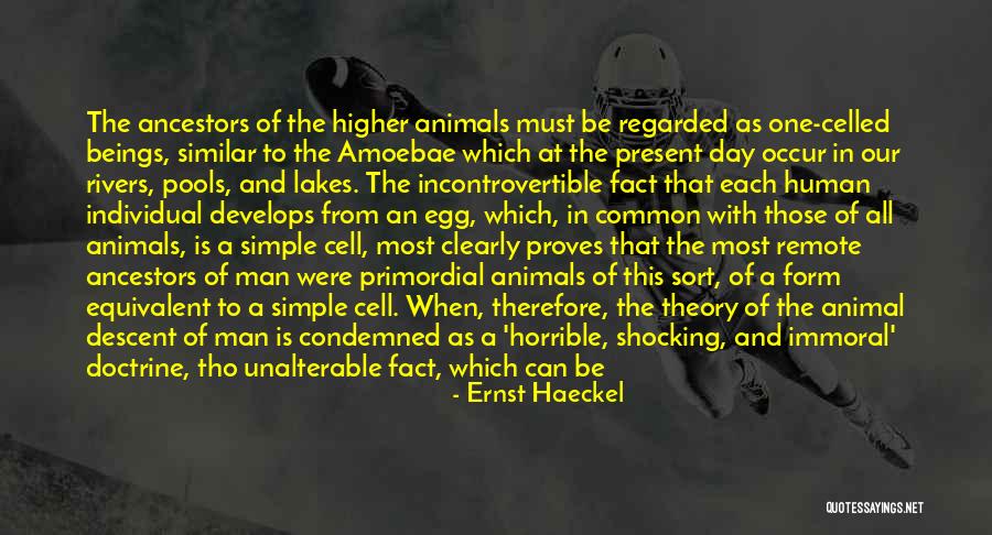 No Man Is Single Quotes By Ernst Haeckel No Man Is Single Quotes By Ernst Haeckel