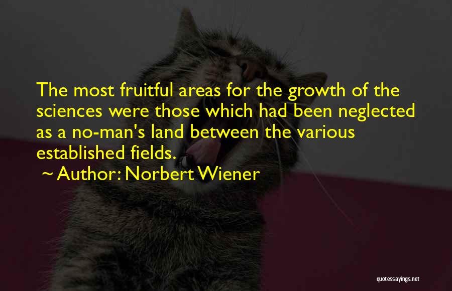 No Man's Land Quotes By Norbert Wiener