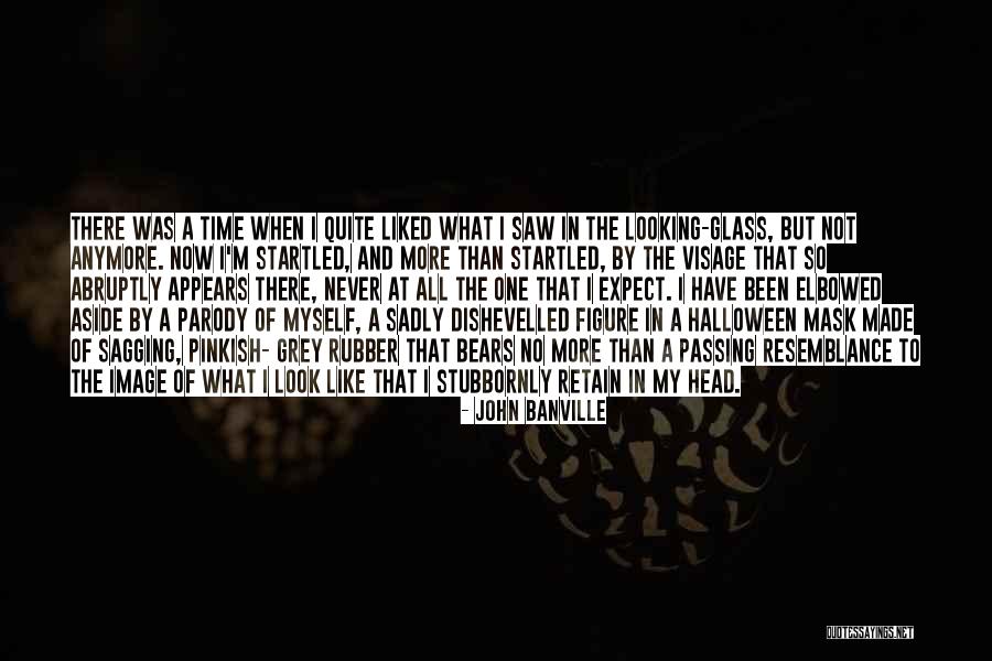 No Mask Quotes By John Banville No Mask Quotes By John Banville