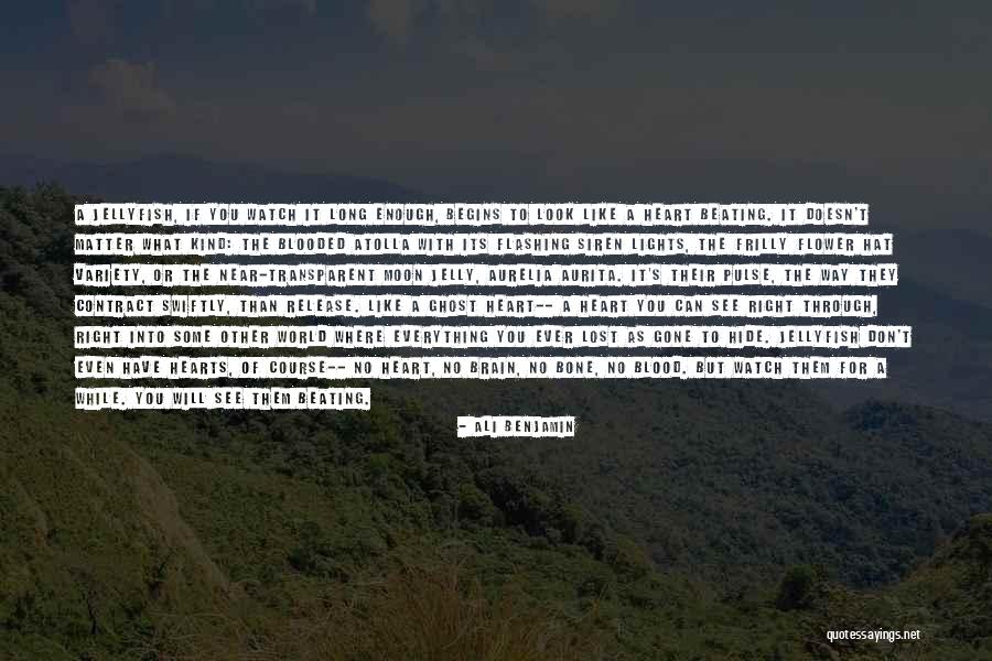 No Matter How Far Or Near Quotes By Ali Benjamin No Matter How Far Or Near Quotes By Ali Benjamin