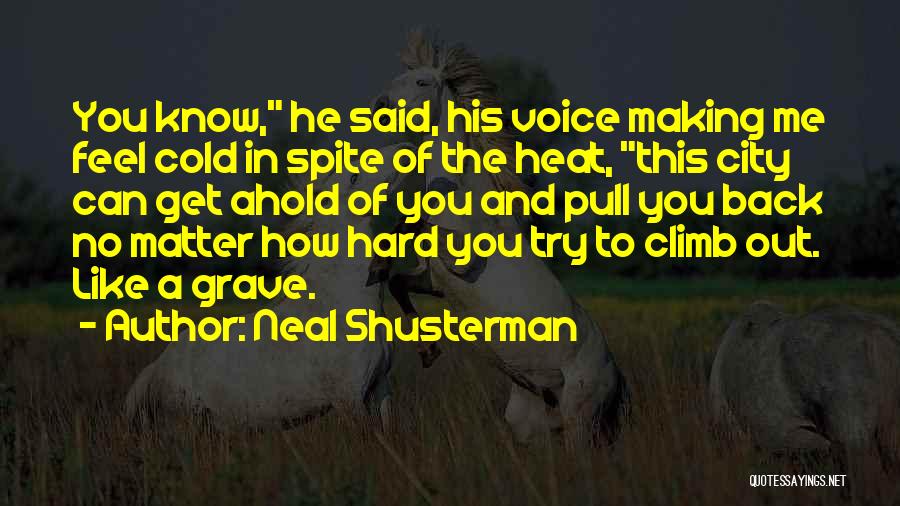 No Matter How Hard You Try Quotes By Neal Shusterman