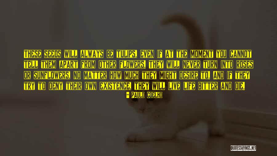 No Matter How Much You Try Quotes By Paulo Coelho No Matter How Much You Try Quotes By Paulo Coelho