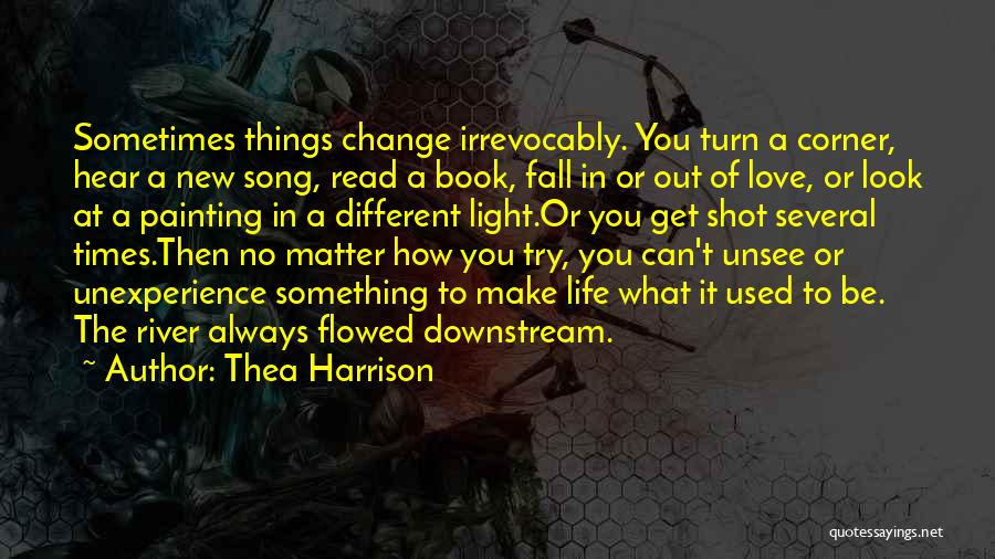 No Matter What Book Quotes By Thea Harrison