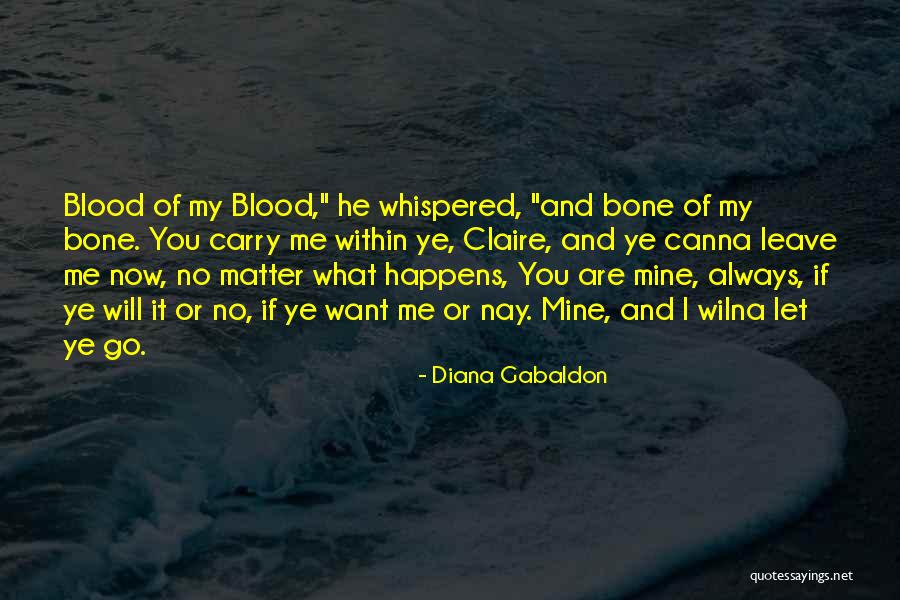 No Matter What Happens I Love You Quotes By Diana Gabaldon