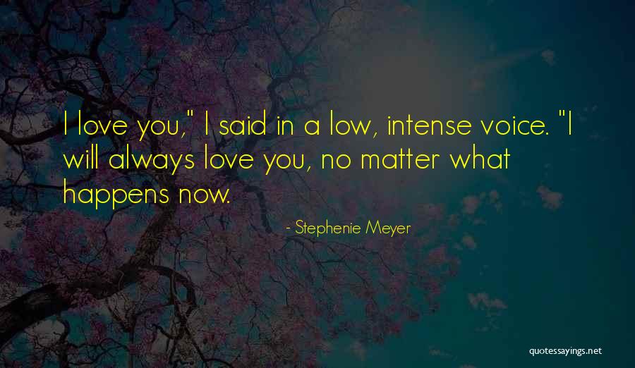 No Matter What Happens I Love You Quotes By Stephenie Meyer