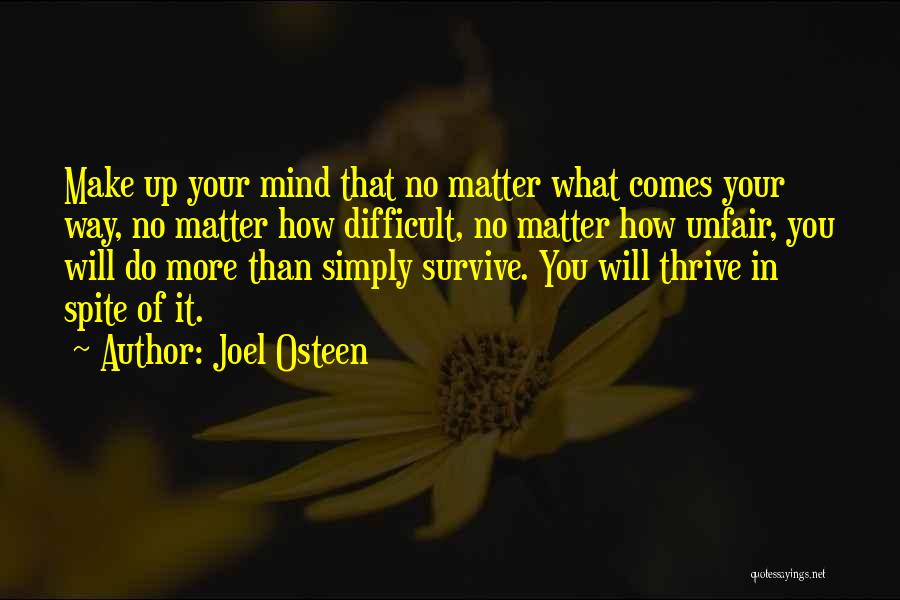 No Matter What I Will Survive Quotes By Joel Osteen