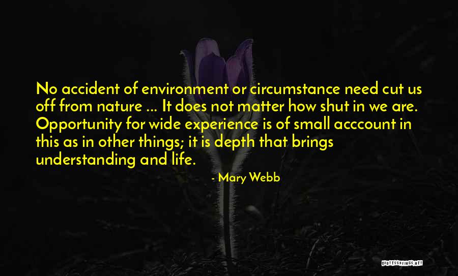 No Matter What Life Brings You Quotes By Mary Webb No Matter What Life Brings You Quotes By Mary Webb