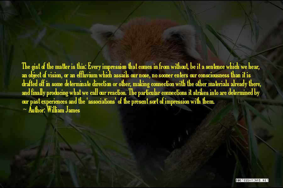 No Matter What Quotes By William James No Matter What Quotes By William James