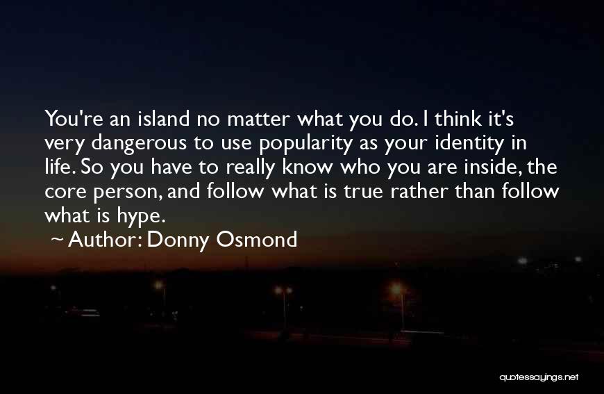 No Matter What You Do In Life Quotes By Donny Osmond