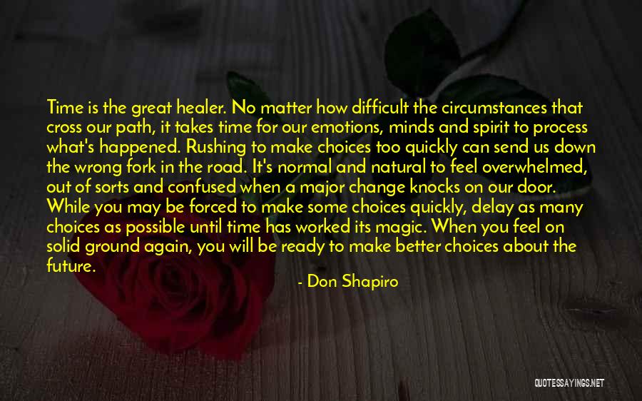 No Matter What You Feel Quotes By Don Shapiro