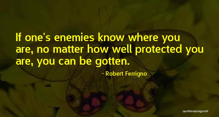 No Matter Where You Are Quotes By Robert Ferrigno