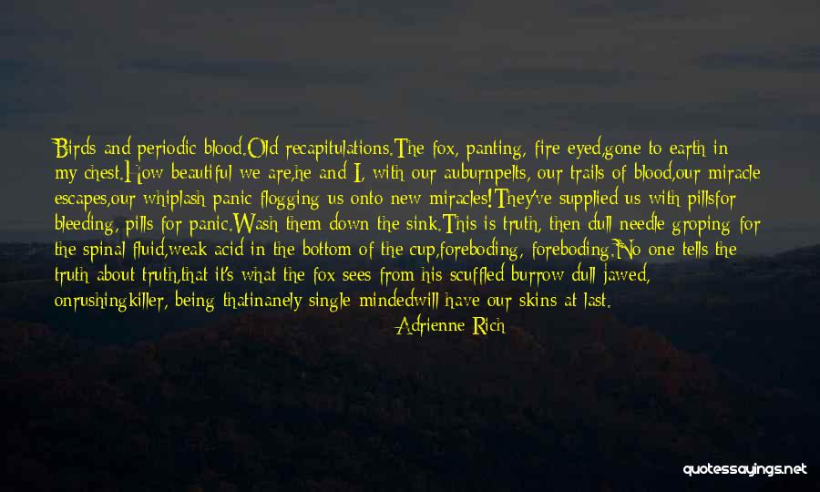 No Miracles Quotes By Adrienne Rich