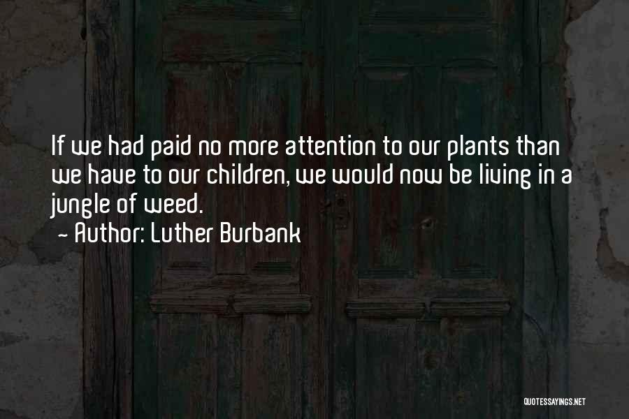 No More Attention Quotes By Luther Burbank