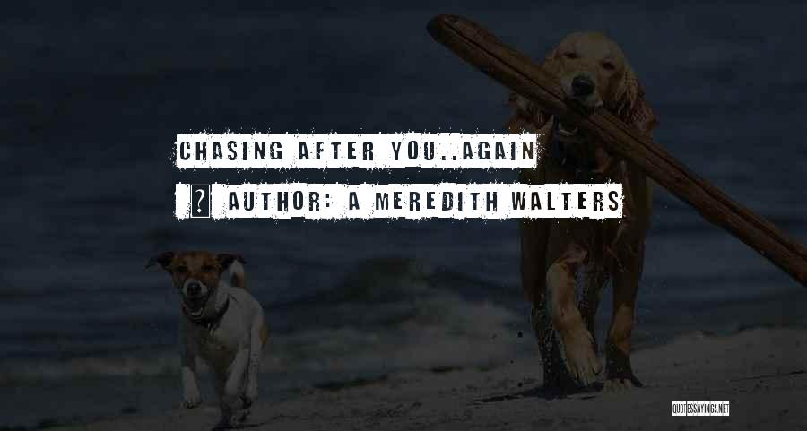 No More Chasing After You Quotes By A Meredith Walters