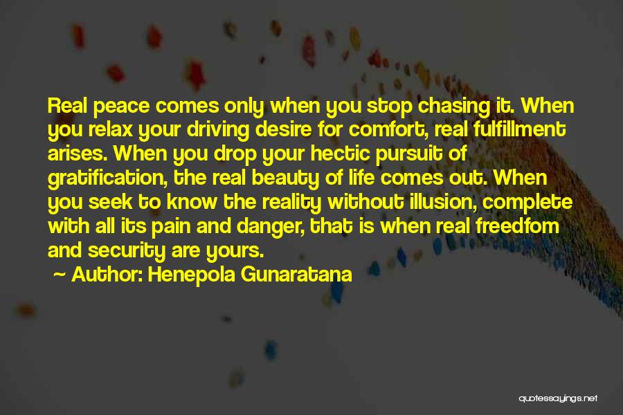 No More Chasing You Quotes By Henepola Gunaratana