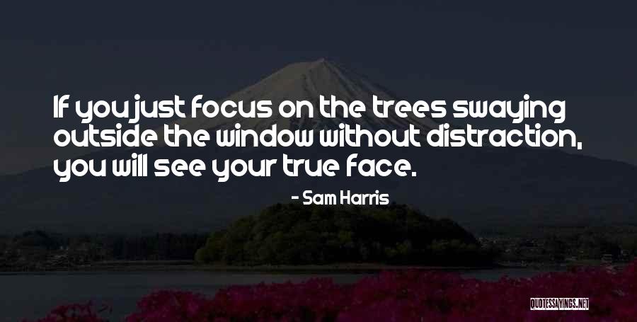 No More Distraction Quotes By Sam Harris No More Distraction Quotes By Sam Harris